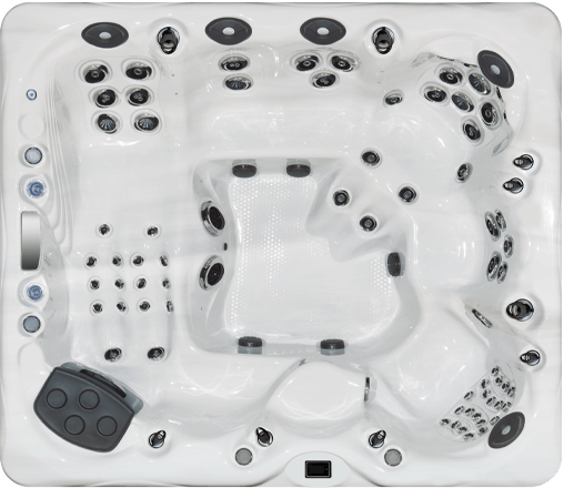 Michael Phelps Legend Series LSX 900 hot tub model